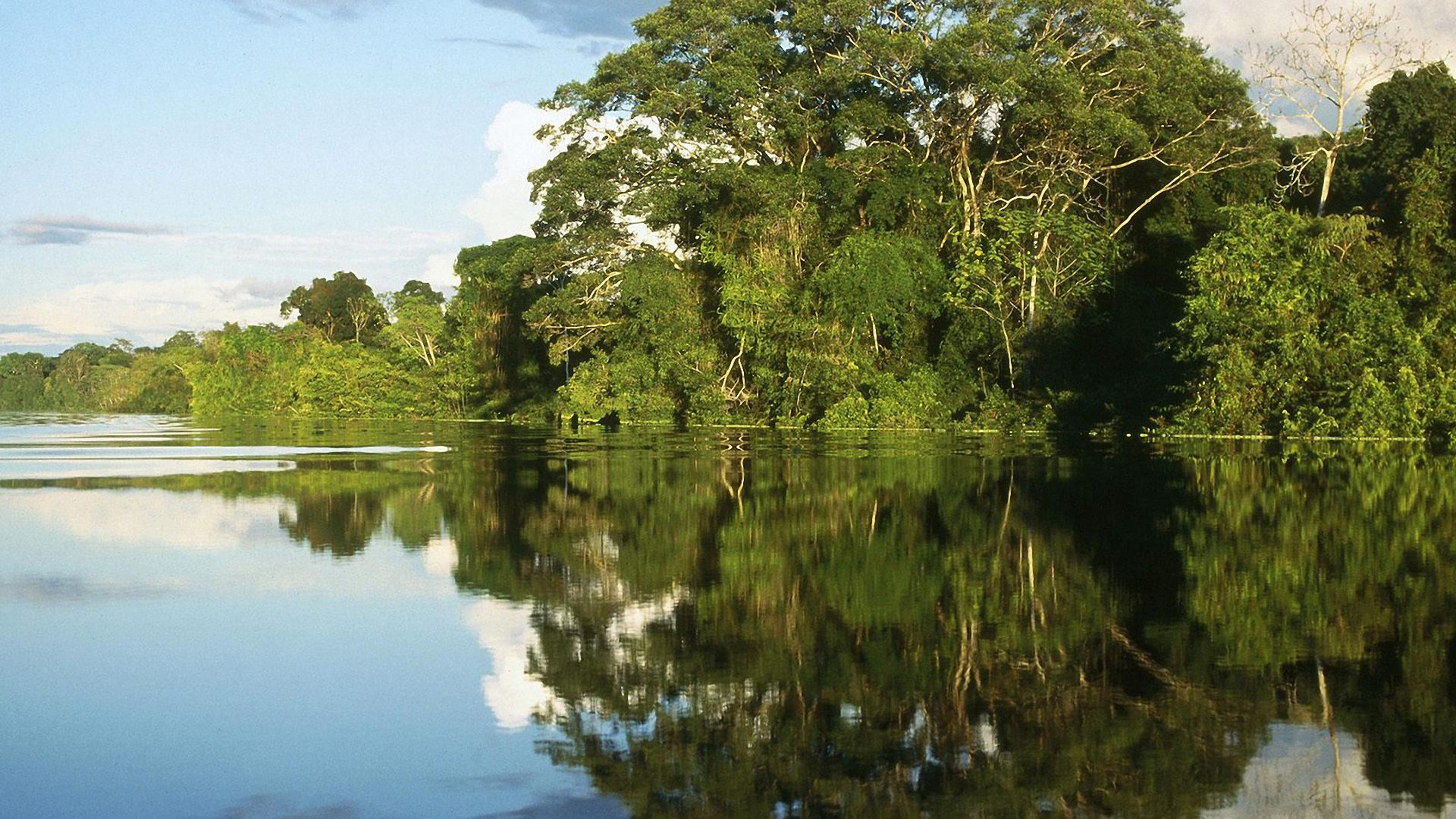 16 реки и озера. Озеро Амазонка Орехово-Зуево. Южная Америка природа Амазонка. Природа Бразилии Амазонка. Река Амазонка джунгли.