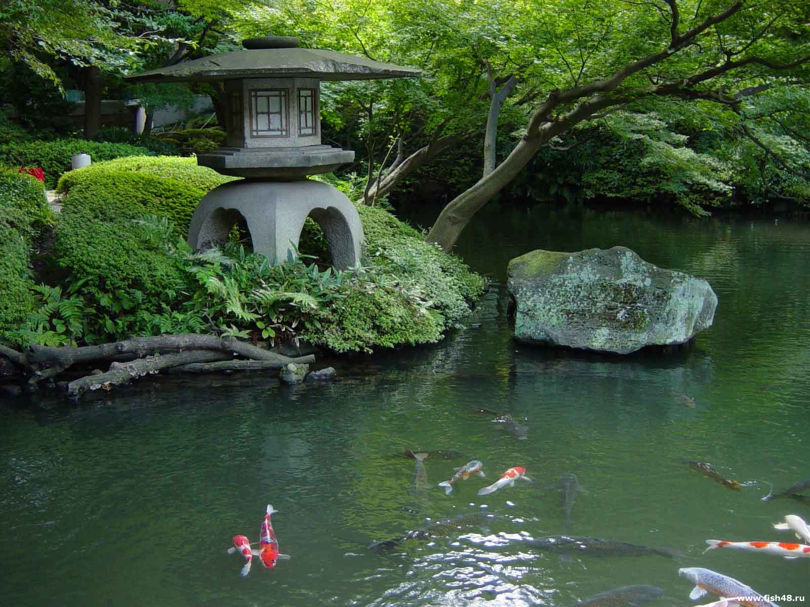 Японский пруд. Парк Кэнроку-эн. Пруд в саду Япония. Японский прудик в саду. Япония парк Карпов коя.